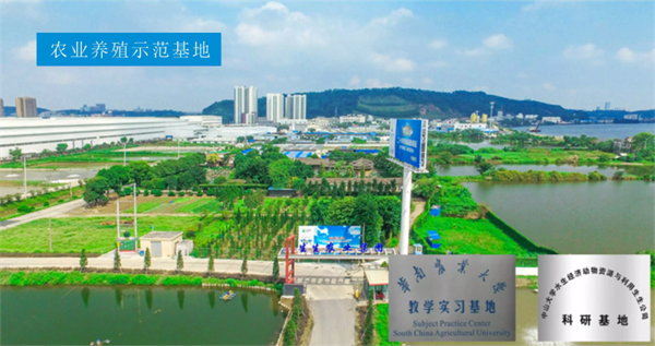 生生農(nóng)業(yè)集團(tuán)股份有限公司戰(zhàn)略梳理&組織規(guī)劃項(xiàng)目啟動