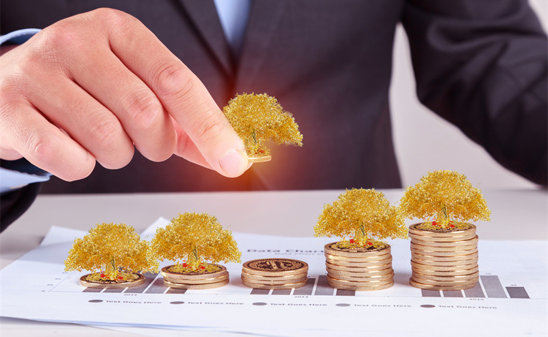 業(yè)績管理與績效評估、薪酬管理和職業(yè)發(fā)展之間的關系