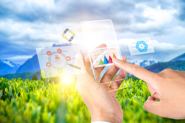 供應(yīng)鏈管理：打造高效、靈活與可持續(xù)的供應(yīng)鏈網(wǎng)絡(luò)