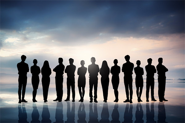 優(yōu)化組織結(jié)構(gòu)，提升協(xié)作效能，助推組織發(fā)展新高度