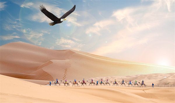 集團(tuán)管控升級(jí)迭代，激發(fā)企業(yè)活力，實(shí)現(xiàn)持續(xù)領(lǐng)先