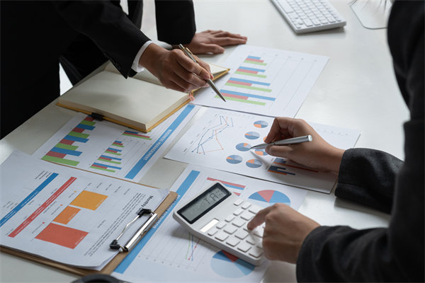 預(yù)算管理策略：優(yōu)化資源配置，提升企業(yè)財(cái)務(wù)效能