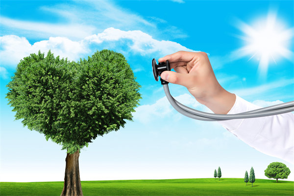 員工福利設(shè)計(jì)新思維：如何平衡成本效益與員工滿意度？