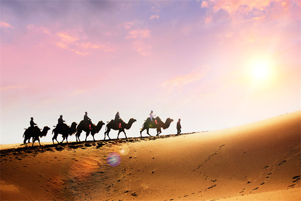 企業(yè)文化在人力資源管理中，扮演著怎樣的角色？