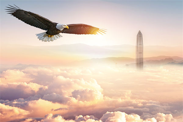 企業(yè)文化與企業(yè)管理如何協(xié)同，推動(dòng)企業(yè)持續(xù)發(fā)展？