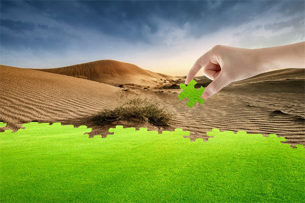 企業(yè)深陷困境，管理咨詢?nèi)绾我岳做侄未蚱瓢l(fā)展僵局？