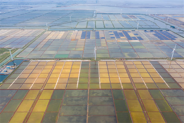 濰坊集團(tuán)子公司失控內(nèi)耗嚴(yán)重，濰坊集團(tuán)管控咨詢公司如何重構(gòu)權(quán)責(zé)體系？