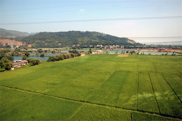 清遠(yuǎn)人力資源咨詢公司量體裁衣，如何激活企業(yè)人才發(fā)展新動能？