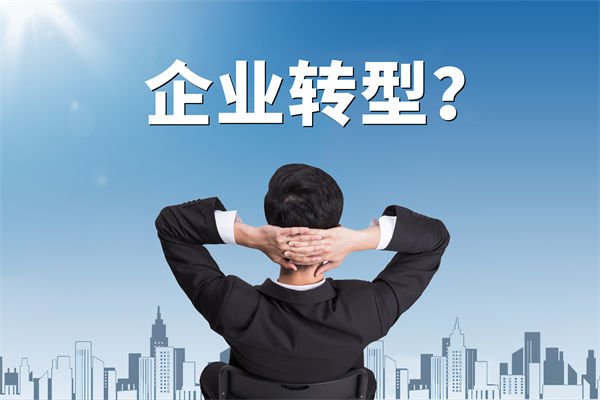 企業(yè)轉(zhuǎn)型無(wú)方向，數(shù)智化咨詢公司能否指引明路？