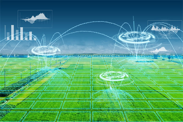 溫州種出2.1米高巨型水稻，精益生產(chǎn)怎么看？